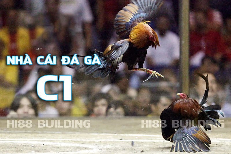 Trải nghiệm trận kê đấu đỉnh cao khi xem trực tiếp đá gà C1 Hi88 1 Nhà cái Hi88 Building Trực Tiếp Đá Gà C1 Uy Tín